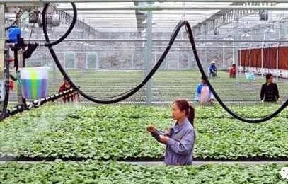 Óؚ��������100����ʮ��