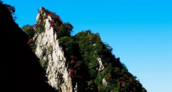 �R�ϣ��R��