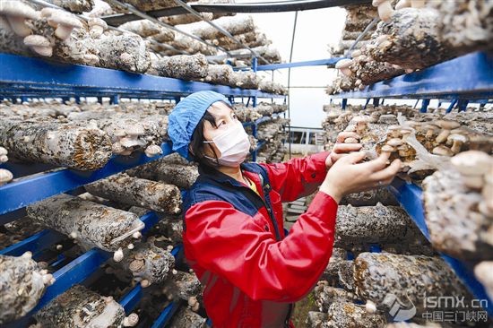 Óؚ���Ա�С��