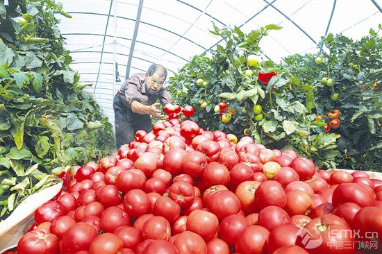 �l(xi��ng)�����d������r(n��ng)�I(y��)�ų���ɫ���衱