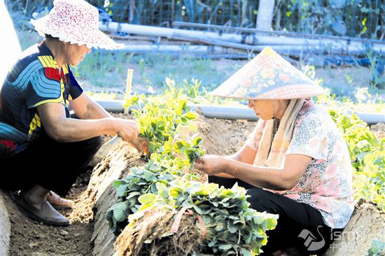 �������a(ch��n)�ɲ��`