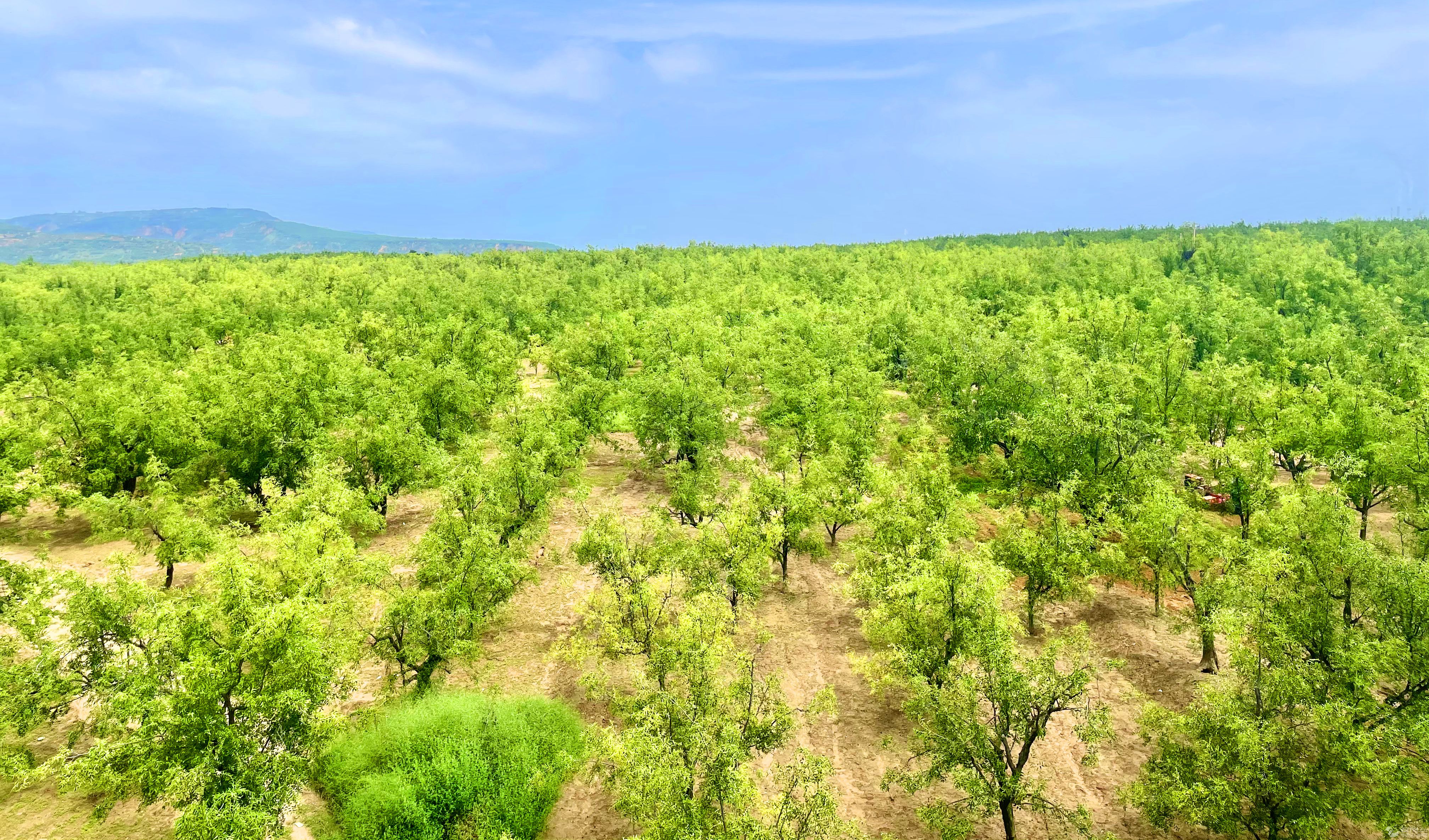 �����S���B(t��i)�� �򿨾��c(di��n)�ࡱϵ�Ј�(b��o)�����ģ�