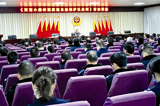 С�؎X���o�l�������M����������ɫ