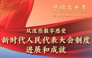 ���Ї��@ʮ�ꡱϵ�����}���l(f��)�����۽��r���Գֺ����������������ƶ��M(j��n)չ�ͳɾ�