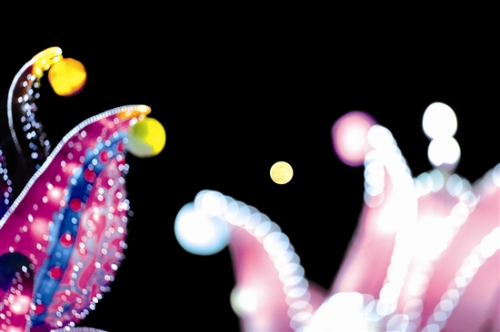 ����(hu��)��ҹ ������ʑcԪ��