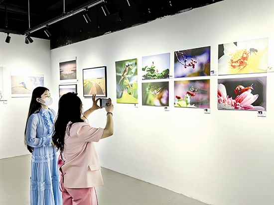 ���䡰һ��(ji��)һչ��