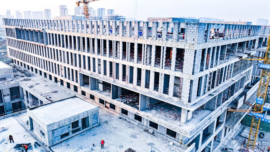 ����ʡ�tʮ��ѪҺ�����(xi��ng)Ŀ�F(xi��n)��(ch��ng)�����z