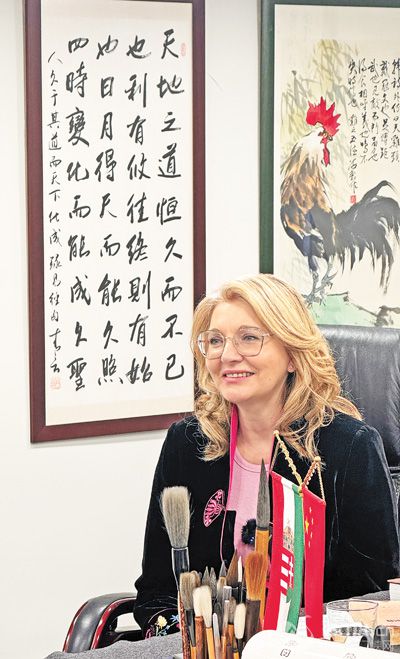 �ߌ�ʯ�ڽ��ܱ���(b��o)ӛ�߲��L�����Ŕz