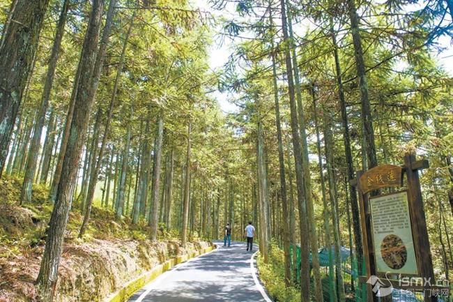 �����܌��h�S�񷼼�ͥ�ֈ������DԴ����ҕ����