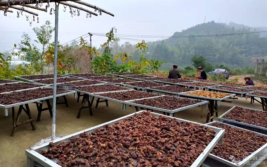 ���������е��S������ �����o �z