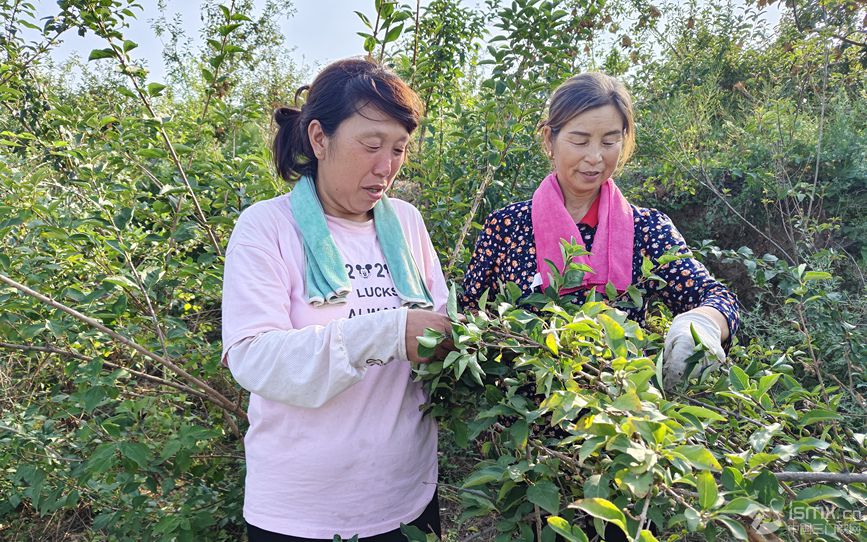 �����ժ�B�N �����o �z