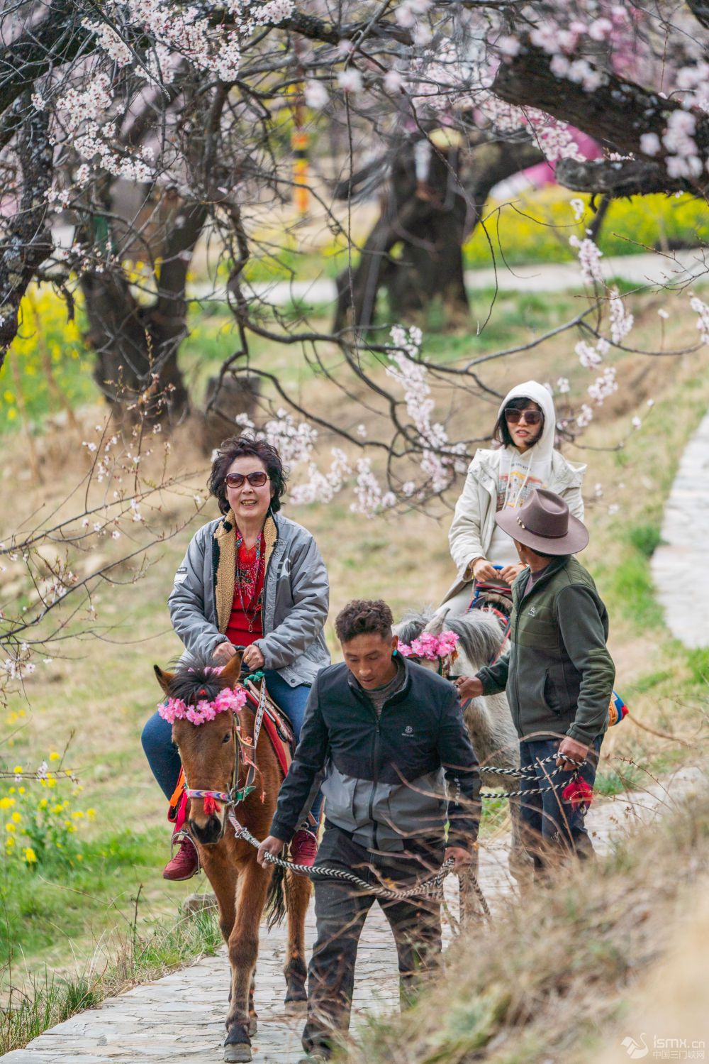 �ο�����֥�и������w�(y��n)�R���^�����DƬ��(l��i)Դ ���A��