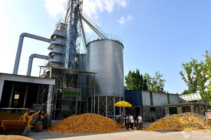 ������ϲ���������