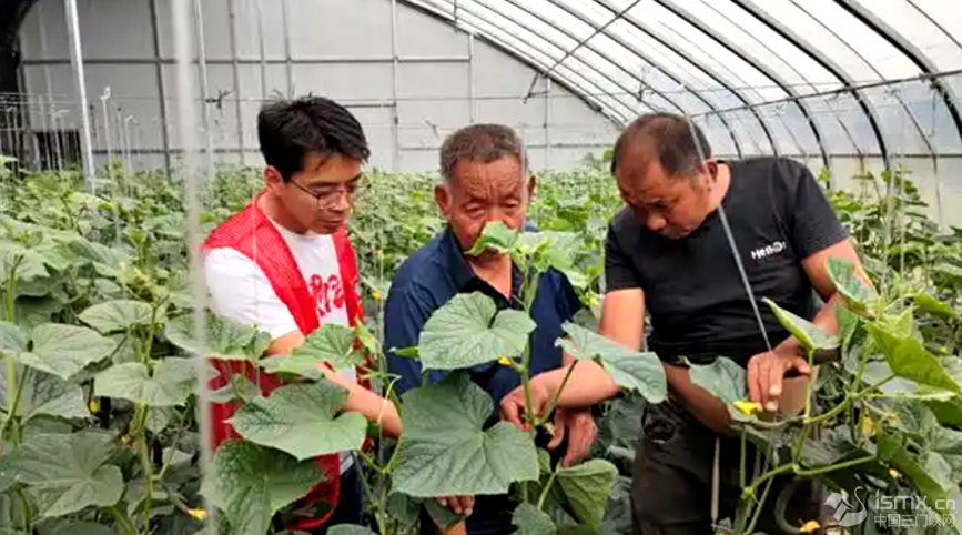 ������h�F(xi��n)���r(n��ng)�I(y��)�Ƽ�ʾ���@�߲˻�����Ƽ����ɆT�c����ؓ(f��)؟(z��)�˜�ͨ��h�Ƽ��ֹ��D