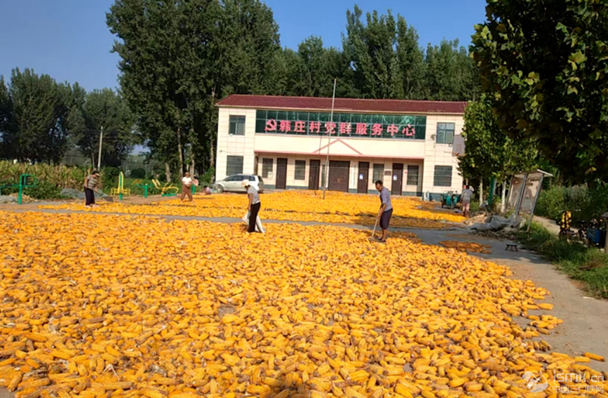 ���l(xi��ng)�з���h�����l(xi��ng)�n�f��Ⱥ�����Ļ��V��(ch��ng)��������Z���_�Ɣz