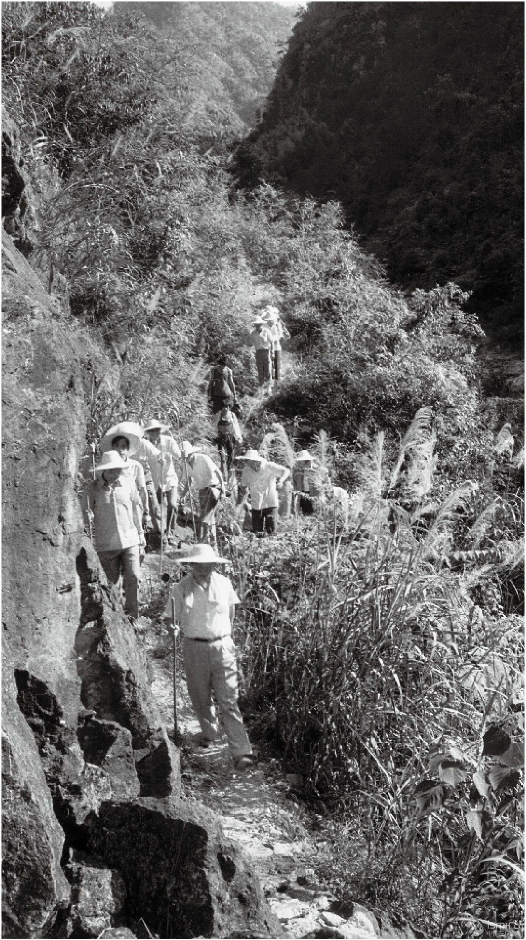 1989��7������(x��)��ƽһ�е��ی��h���h�l(xi��ng)�{(di��o)����