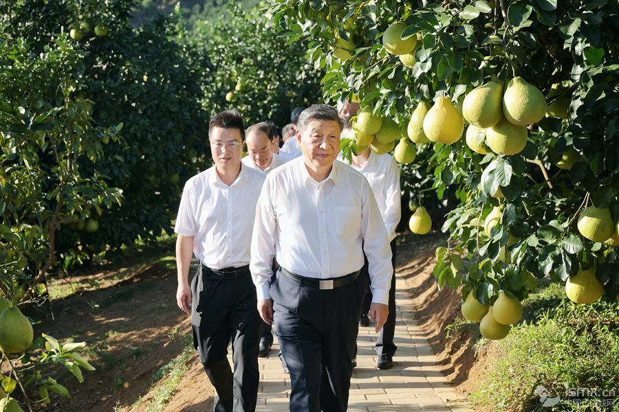 2025��11��7����8�����й����뿂��ӛ��������ϯ������܊ί��ϯ��(x��)��ƽ�ڏV�|�������@��7�����磬��(x��)��ƽ��÷����÷�h�^(q��)�����(zh��n)�ϸ����ַNֲ���ؿ��������A��l(f��)��Ф� �z��